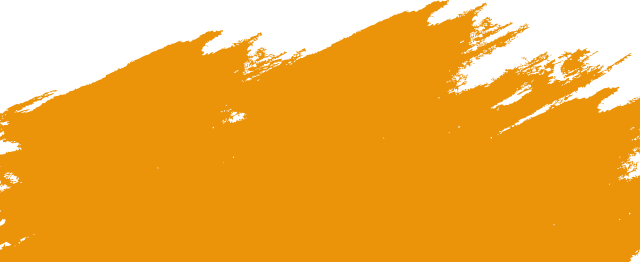 Zadok